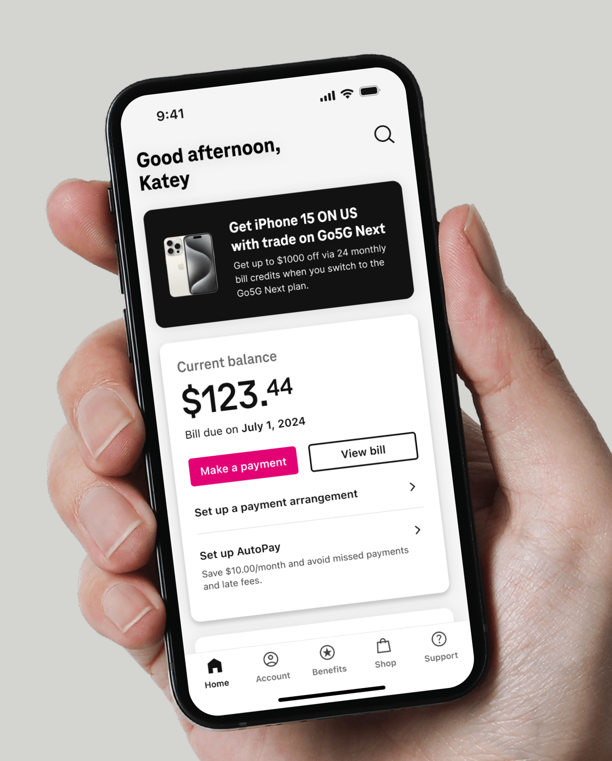 Flagship application home screen